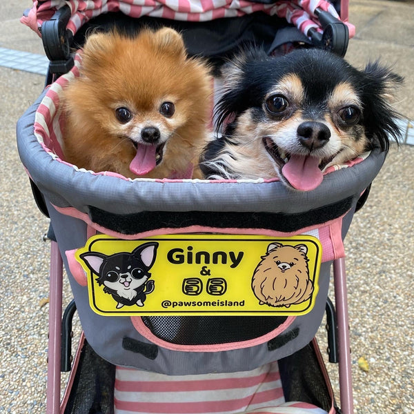 Customized Pet Items