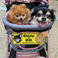 Customized Pet License Plate for Dog Stroller - Pawsome Island - Pawsome Island