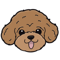 Poodle