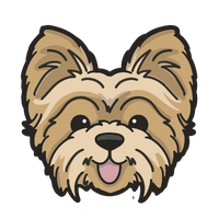 Yorkie