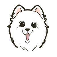 Japanese Spitz