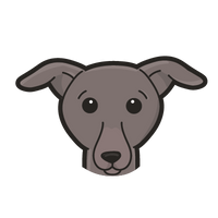Greyhound