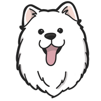 Samoyed