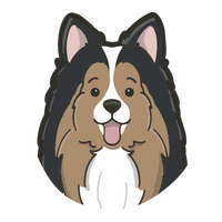 Sheltie