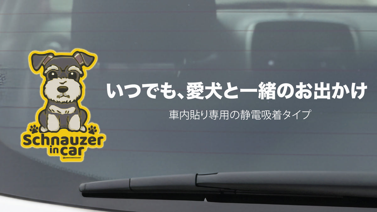 Pawsome Campaign 3