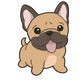 News Icon