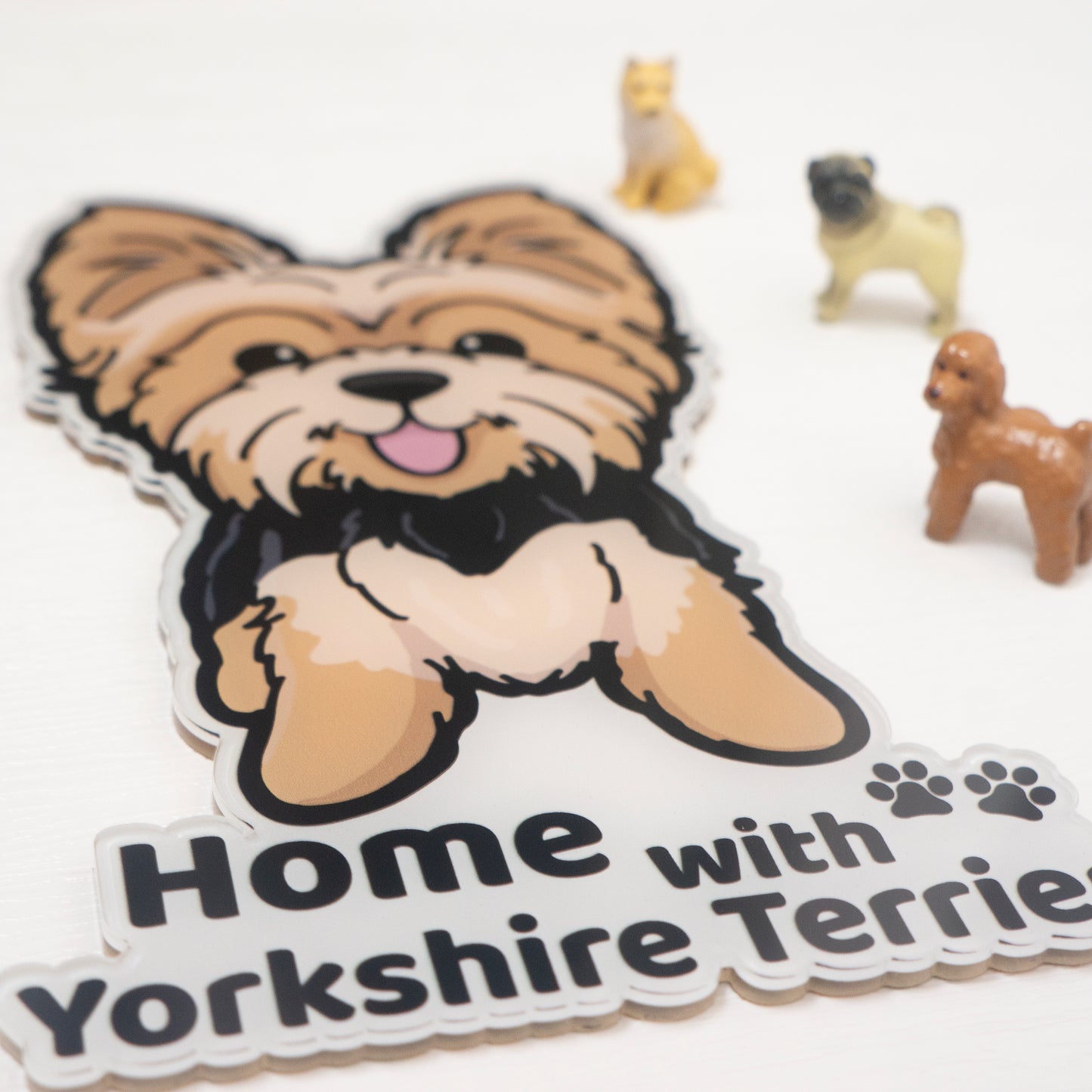 Home with Yorkshire terrier