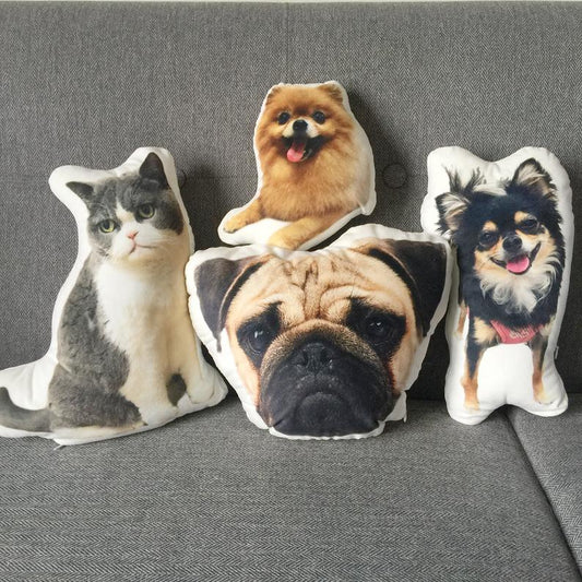 客製化寵物雙面咕𠱸 來圖訂製寵物cushion 攬枕